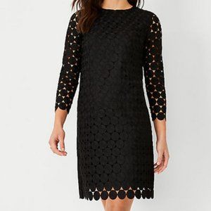 NWT Ann Taylor Black Dot Lace Dress
